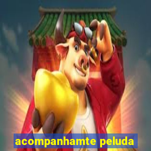 acompanhamte peluda